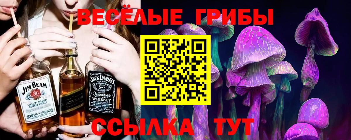Галлюциногенные грибы GOLDEN TEACHER Саранск