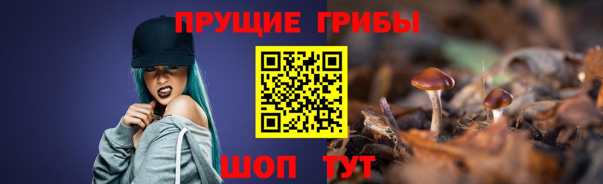 Саранск  Галлюциногенные грибы Cubensis  Вход с VPN 